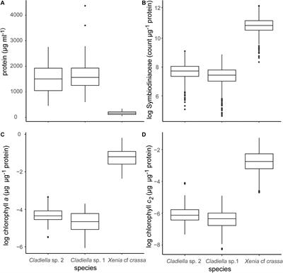 Its What’s on the Inside That Counts: An Effective, Efficient, and Streamlined Method for Quantification of Octocoral Symbiodiniaceae and Chlorophyll